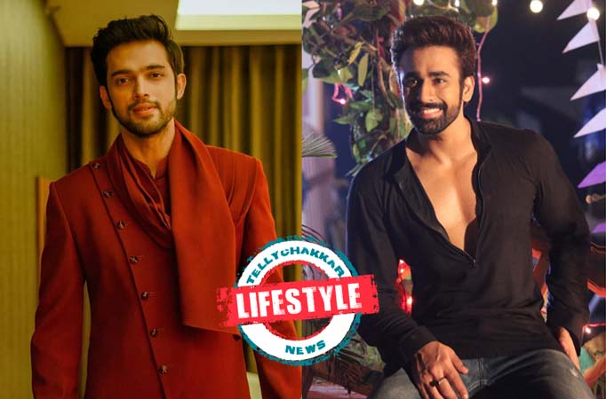 Parth Samthaan and Pearl V Puri have the PERFECT BODY and ATTITUDE to